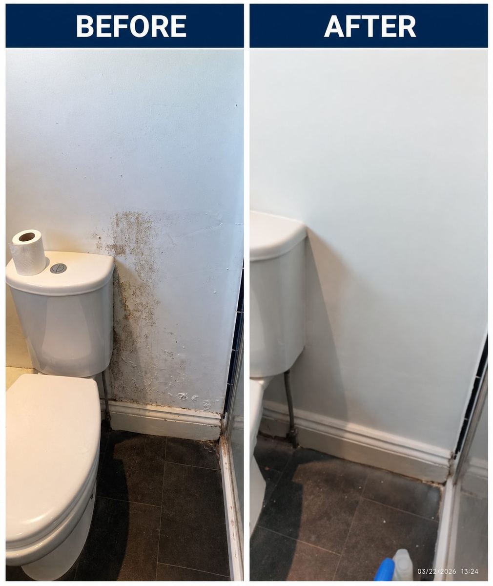 Before and after: mould treated and wall redecorated